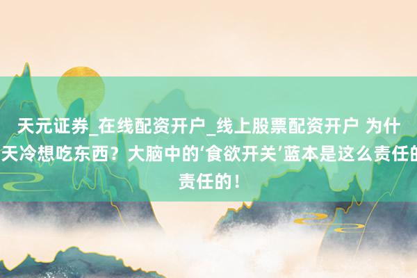 天元证券_在线配资开户_线上股票配资开户 为什么天冷想吃东西？大脑中的‘食欲开关’蓝本是这么责任的！