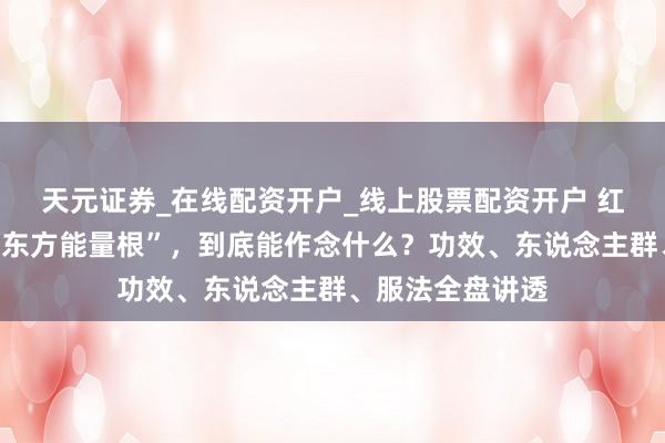 天元证券_在线配资开户_线上股票配资开户 红参这味陈腐的“东方能量根”,到底能作念什么?功效、东说念主群、服法全盘讲透