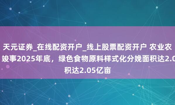 天元证券_在线配资开户_线上股票配资开户 农业农村部：竣事2025年底，绿色食物原料样式化分娩面积达2.05亿亩