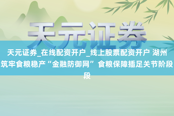 天元证券_在线配资开户_线上股票配资开户 湖州筑牢食粮稳产“金融防御网” 食粮保障插足关节阶段