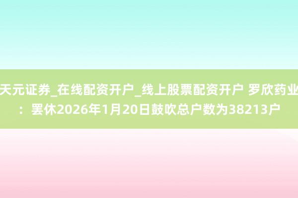 天元证券_在线配资开户_线上股票配资开户 罗欣药业：罢休2026年1月20日鼓吹总户数为38213户