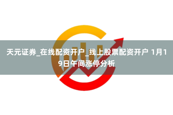 天元证券_在线配资开户_线上股票配资开户 1月19日午间涨停分析