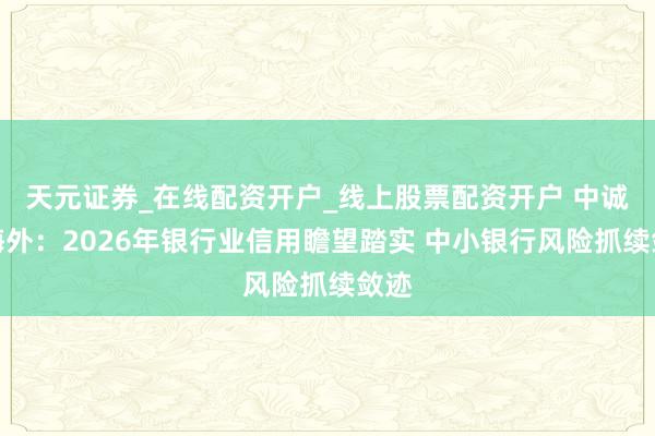 天元证券_在线配资开户_线上股票配资开户 中诚信海外：2026年银行业信用瞻望踏实 中小银行风险抓续敛迹