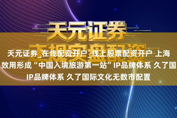 天元证券_在线配资开户_线上股票配资开户 上海市政协委员杨晖：效用形成“中国入境旅游第一站”IP品牌体系 久了国际文化无数市配置