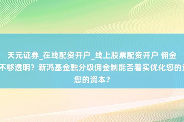 天元证券_在线配资开户_线上股票配资开户 佣金费率不够透明？新鸿基金融分级佣金制能否着实优化您的资本？