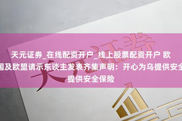天元证券_在线配资开户_线上股票配资开户 欧洲多国及欧盟请示东谈主发表齐集声明：开心为乌提供安全保险