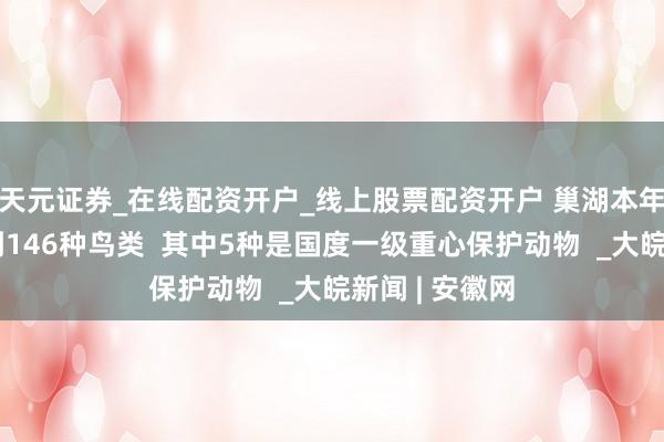 天元证券_在线配资开户_线上股票配资开户 巢湖本年首月不雅测到146种鸟类  其中5种是国度一级重心保护动物  _大皖新闻 | 安徽网