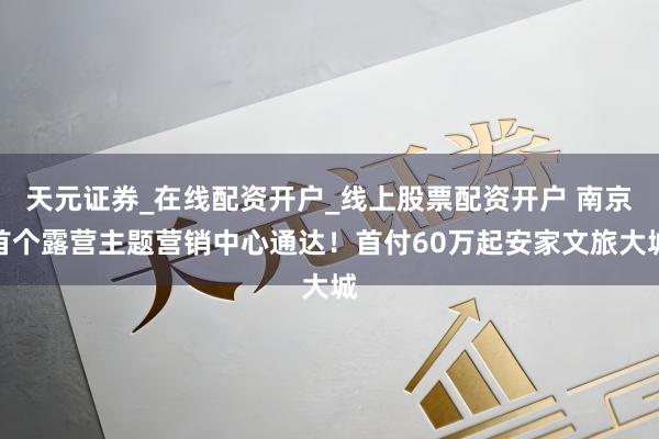 天元证券_在线配资开户_线上股票配资开户 南京首个露营主题营销中心通达！首付60万起安家文旅大城